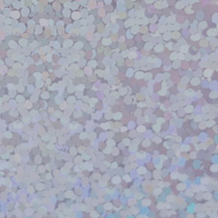 XVINYL Holographic Sparkle HTV - Heat Transfer Vinyl (Silver), 12x10", 5 Sheets