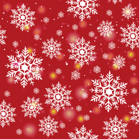 Craft HTV Snowflakes 2 - Christmas Pattern