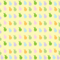 Craft HTV Easter Colorful Rabbits