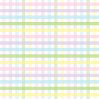 Craft HTV Easter Plaid