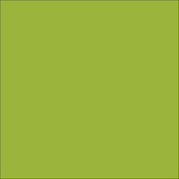 Craft Matte Lime HTV Vinyl 12" x 10 Yard Roll