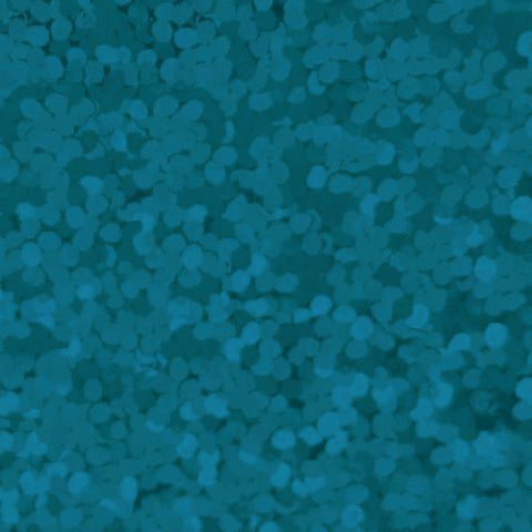 XVINYL Holographic Sparkle HTV - Heat Transfer Vinyl (Aqua), 12x10", 5 Sheets