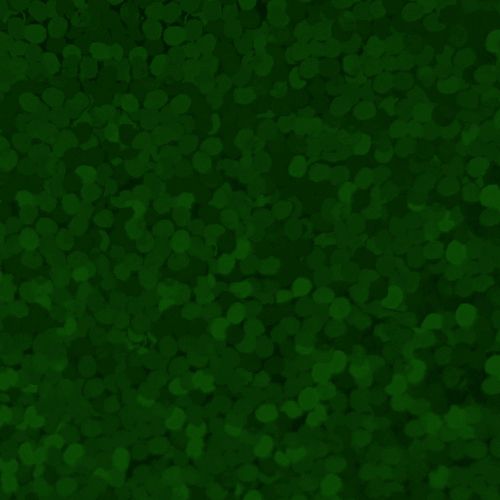 XVINYL Holographic Sparkle HTV - Heat Transfer Vinyl (Green), 12x10", 5 Sheets