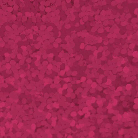 XVINYL Holographic Sparkle HTV - Heat Transfer Vinyl (Puschia), 12x10", 5 Sheets