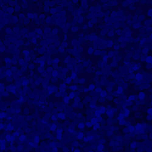 XVINYL Holographic Sparkle HTV - Heat Transfer Vinyl (Royal Blue), 12x10", 5 Sheets