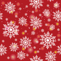 Craft HTV  Snowflakes  2 - Christmas Pattern