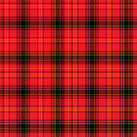 Craft HTV Christmas Plaid Pattern 3