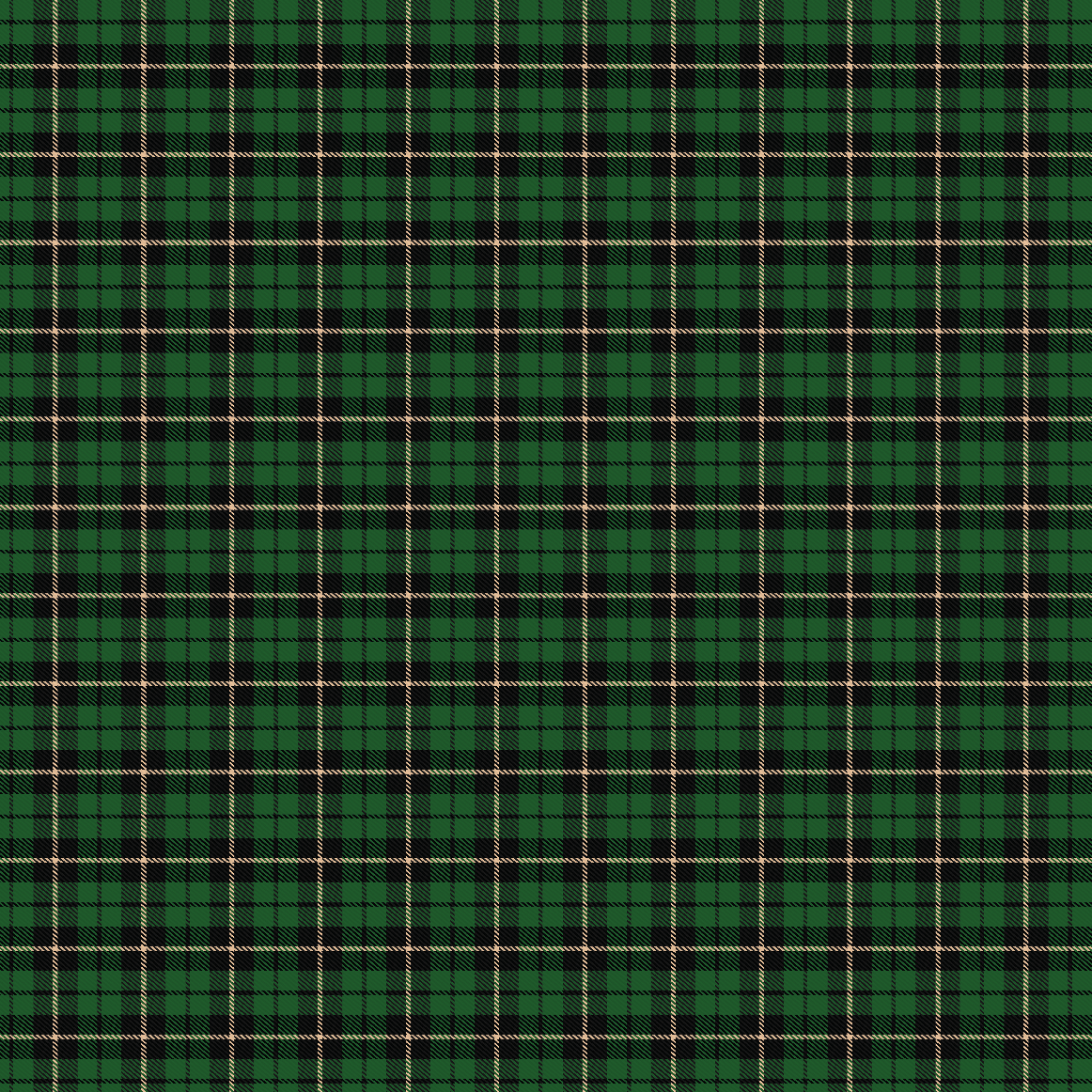 Craft HTV Christmas Plaid Green Pattern