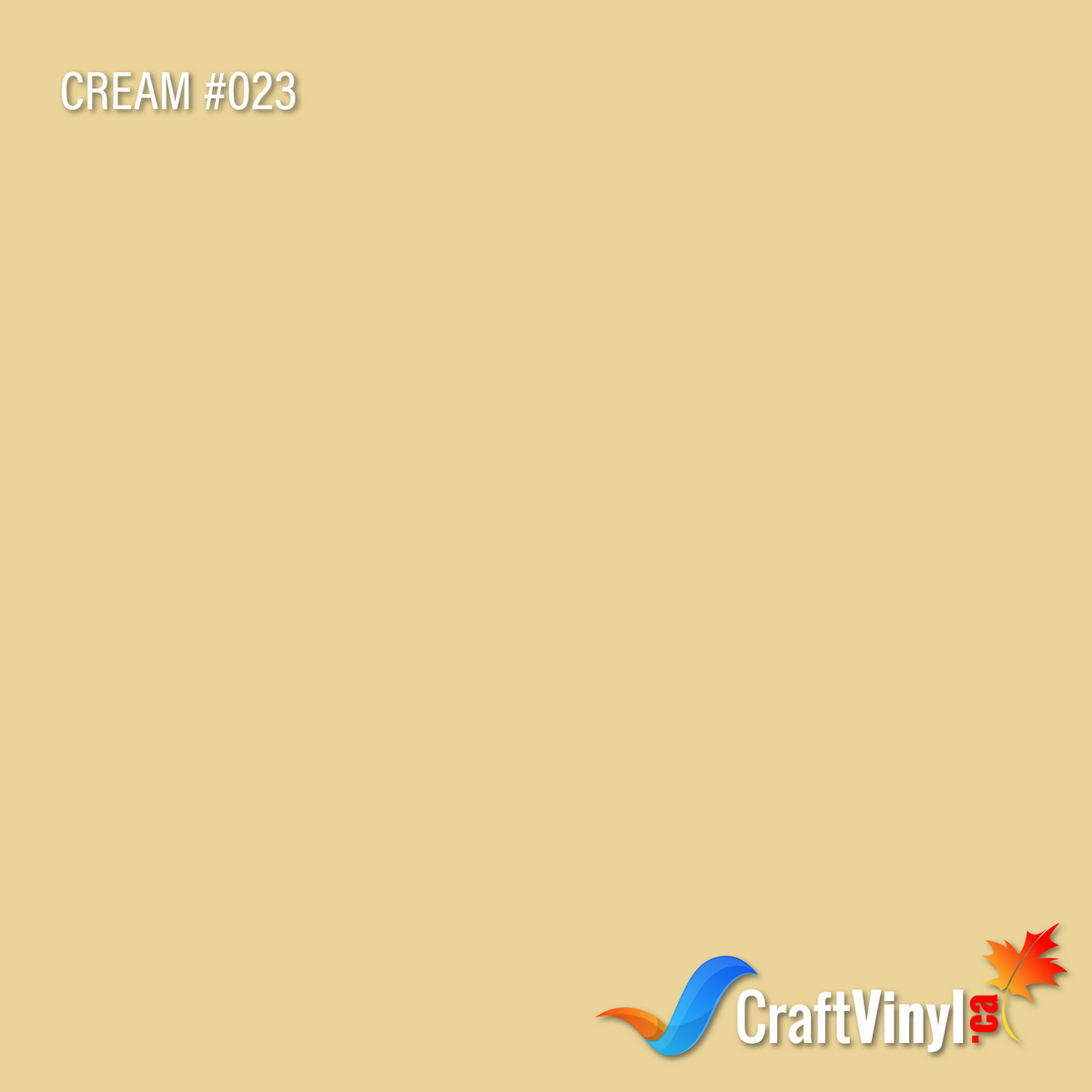 Oracal 651 Glossy Cream Vinyl #023