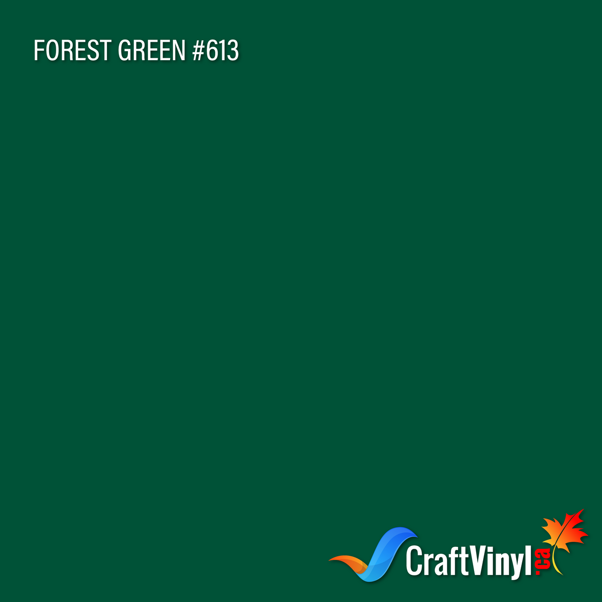 Oracal 651 Gloss Forest Green Vinyl #613