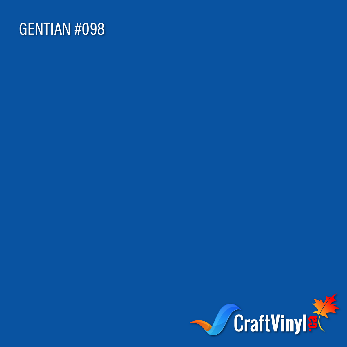 Oracal 651 Glossy Gentian Vinyl #098