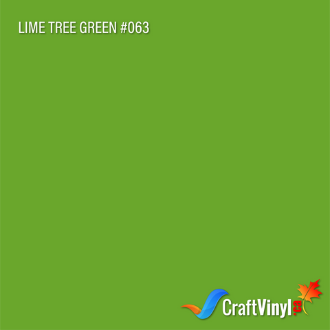 Oracal 651 Gloss Lime Tree Green Vinyl #063