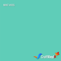 Oracal 651 Gloss Mint Vinyl #055