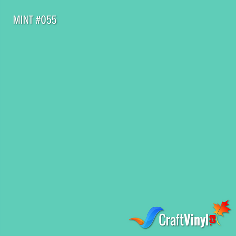 Oracal 651 Gloss Mint Vinyl #055