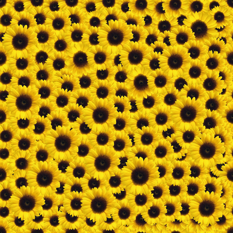 Craft HTV Suntastic Yellow Sunflower Pattern