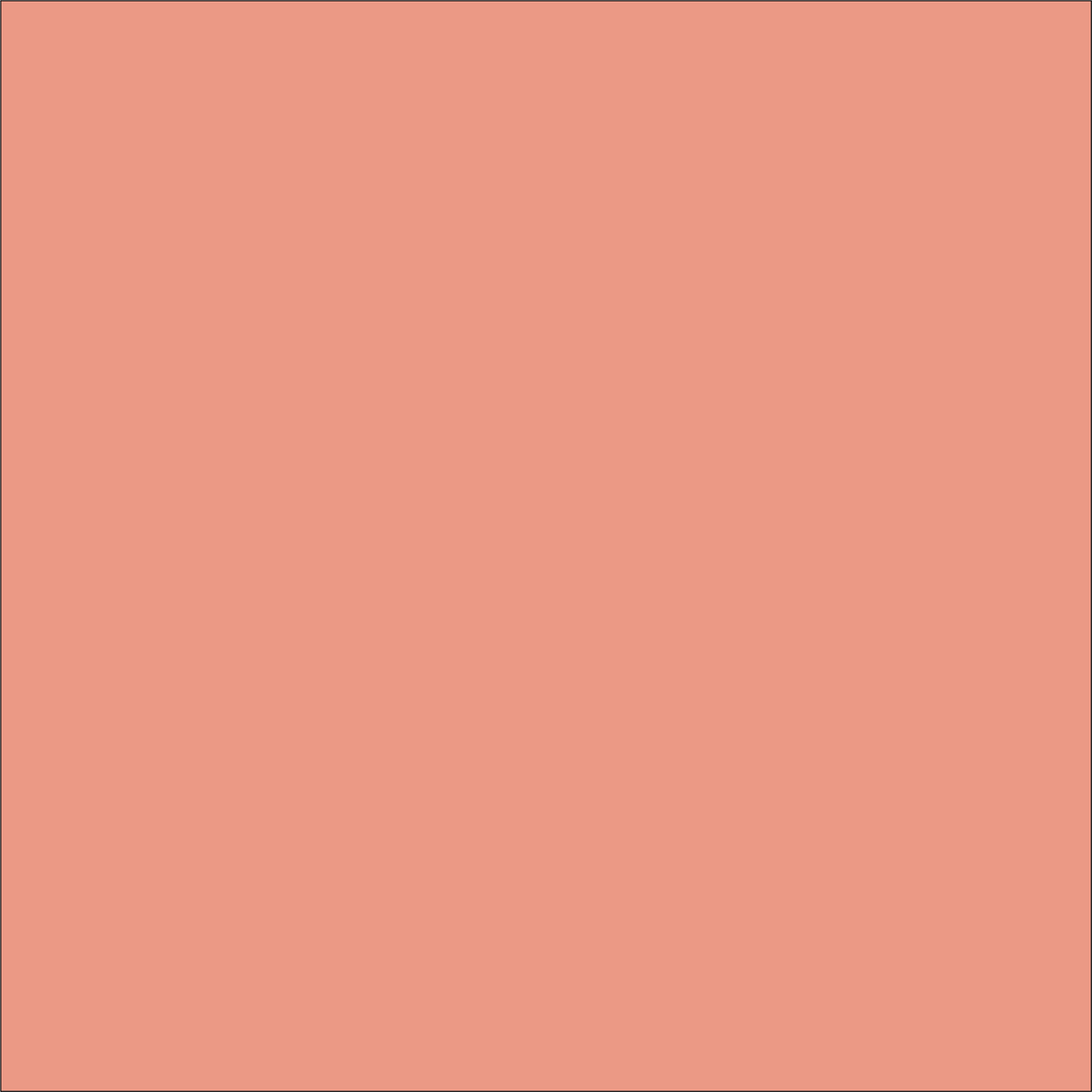 Craft Coral HTV Vinyl 12" x 4.5" sheets