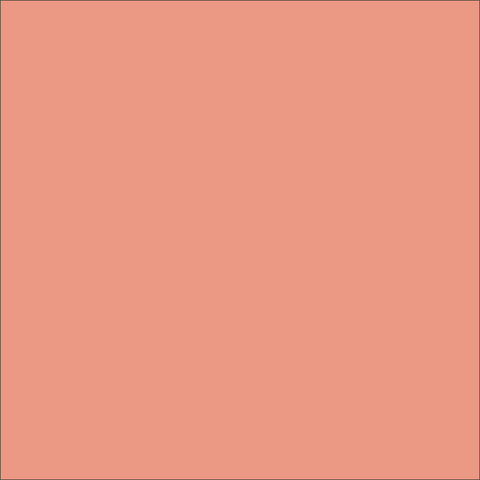 Craft Coral HTV Vinyl 12" x 4.5" sheets