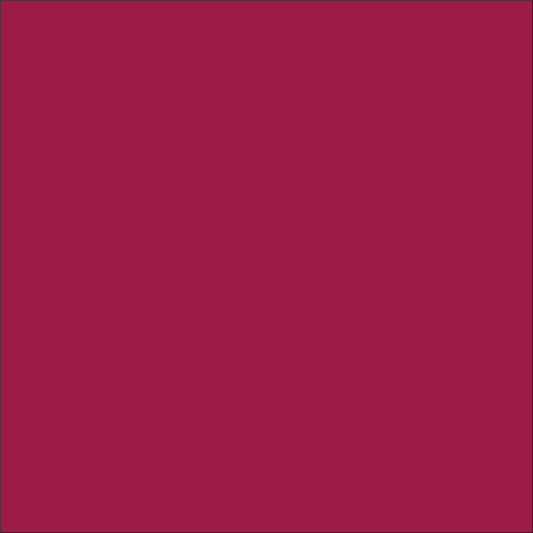 Craft Dark Pink HTV Vinyl 12" x 10 Yard Roll