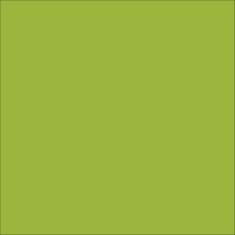 Craft Lime HTV Vinyl 12" x 5ft Roll