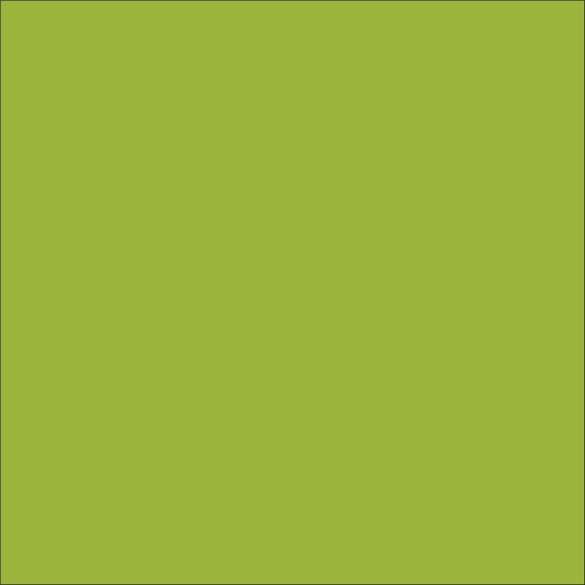 Craft Lime HTV Vinyl 12" x 10 Yard Roll