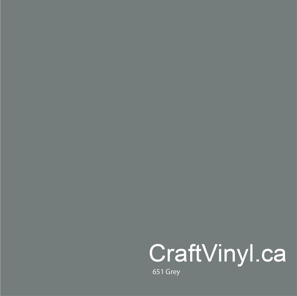 Oracal 651 Vinyl Page 2 - Craft Vinyl
