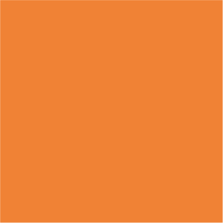 Siser Easyweed Stretch Orange