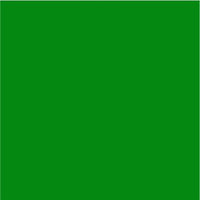 Siser Easyweed Stretch Green