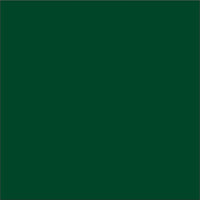 Siser Easyweed Stretch Pine Green